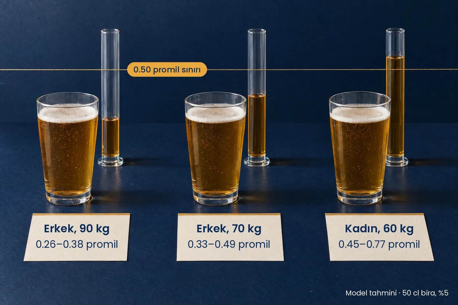 Aynı 50 cl bira, model tepe değeri: 90 kg erkek 0.26–0.38, 70 kg erkek 0.33–0.49, 60 kg kadın 0.45–0.77 promil