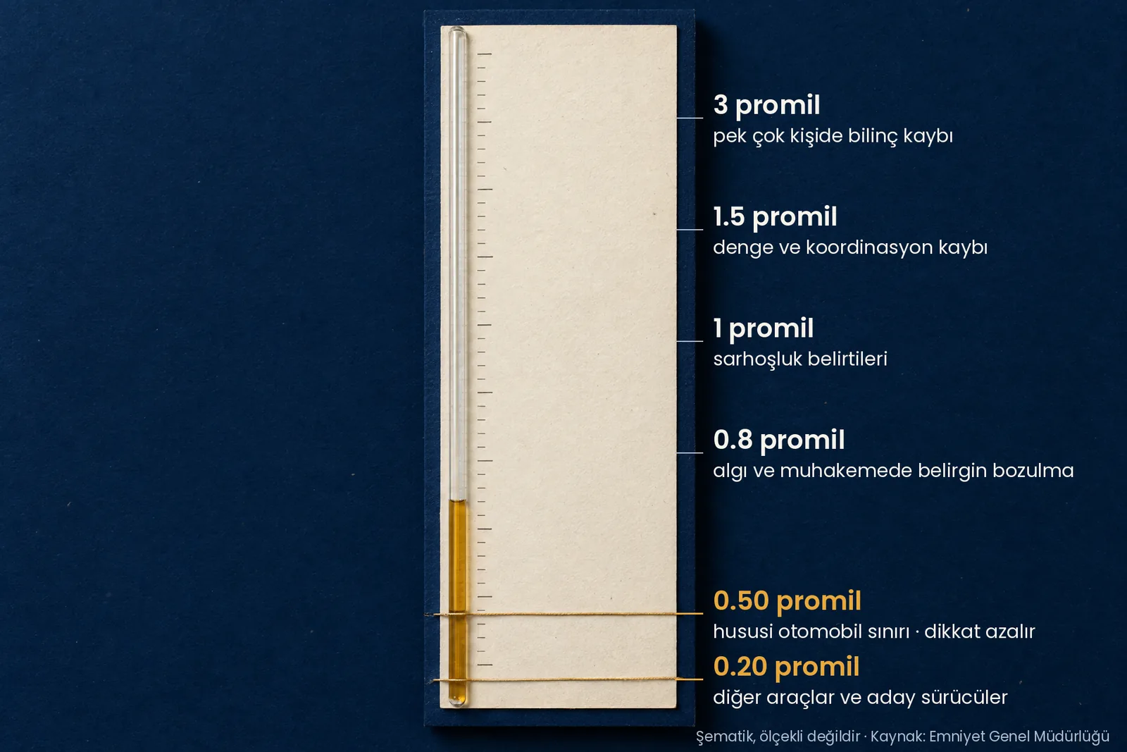 Şematik promil ölçeği: 0.20 ve 0.50 yasal sınırlar, 0.8, 1, 1.5 ve 3 promilde vücuttaki etkiler (Emniyet Genel Müdürlüğü)